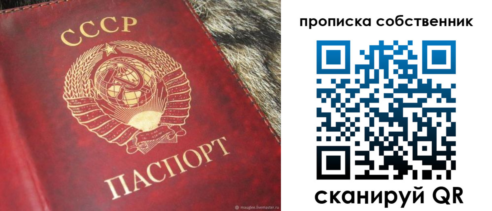 прописка для школы в Арсеньеве